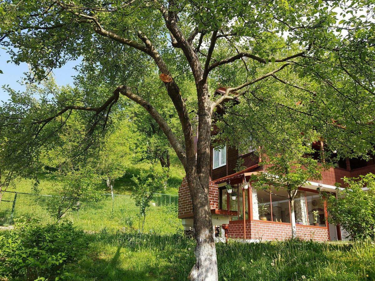 Casa Colt De Rai Villa เบรโซย ภายนอก รูปภาพ